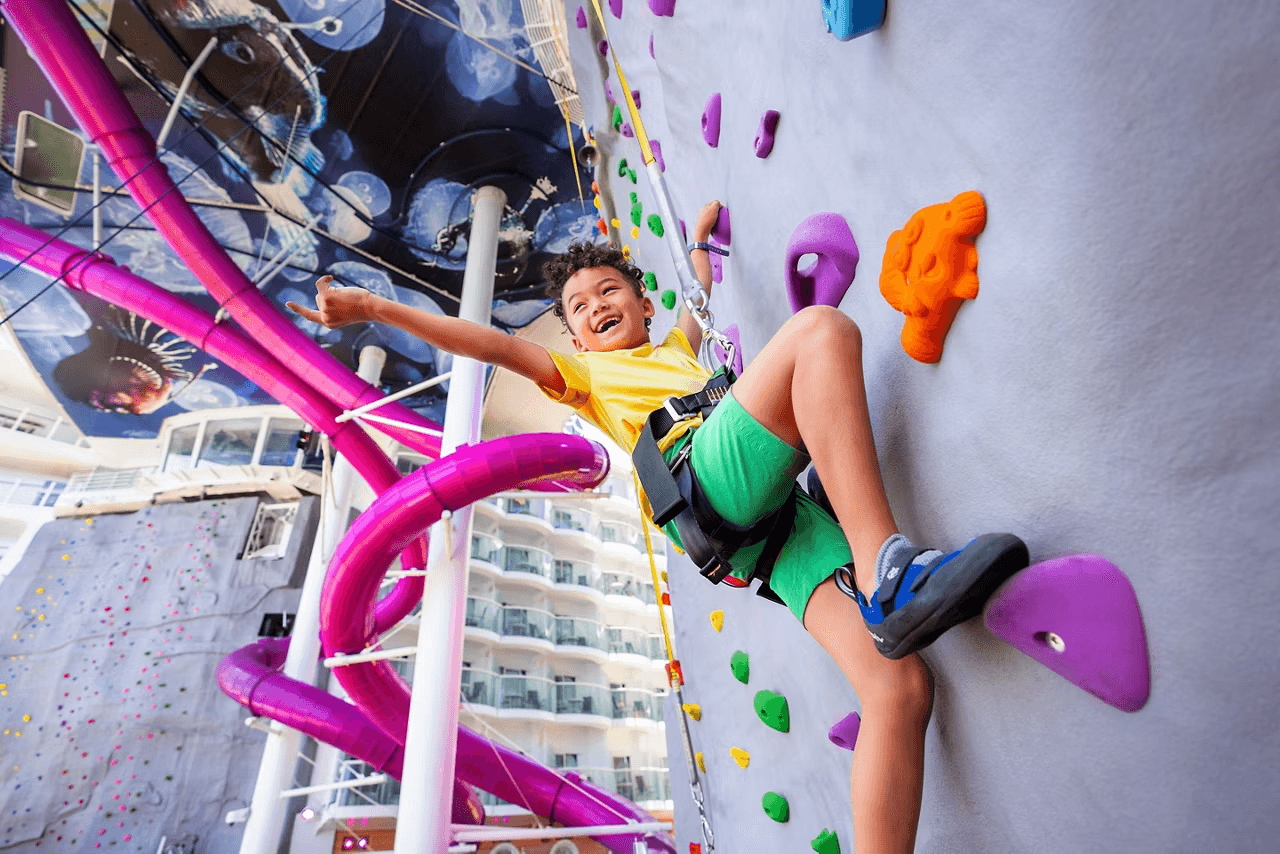 Rock Climbing Wall