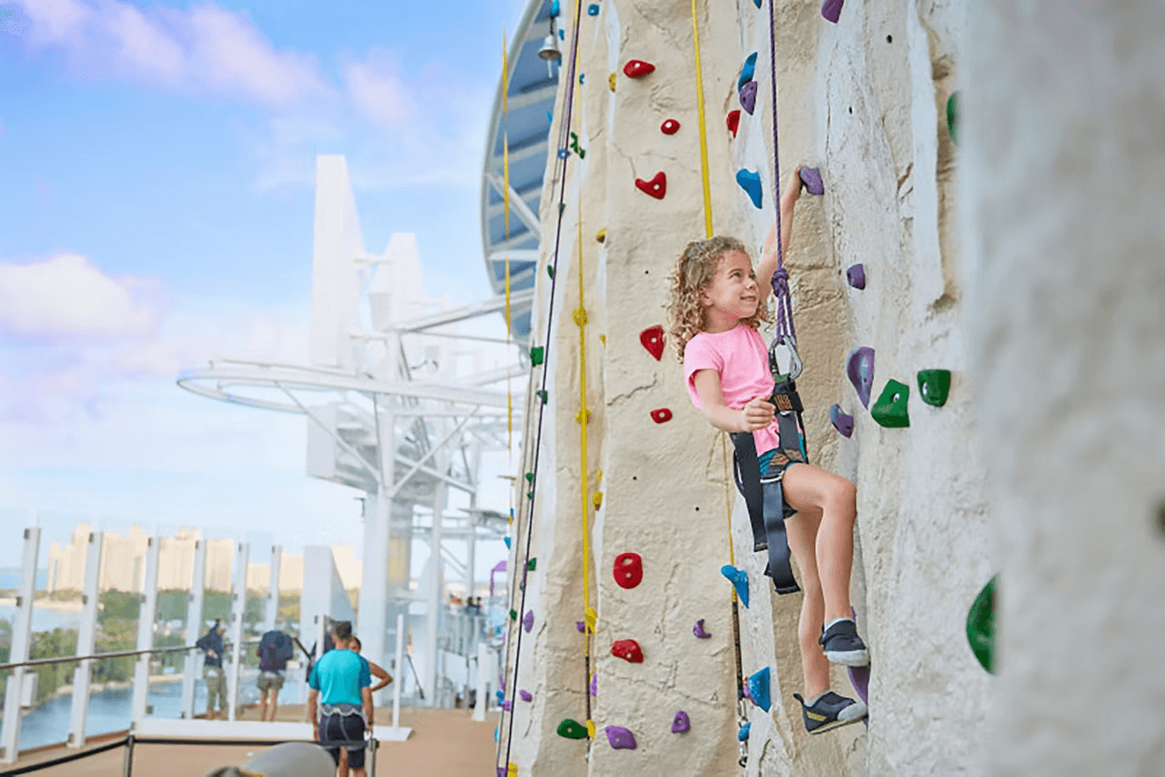 rock-climbing-wall