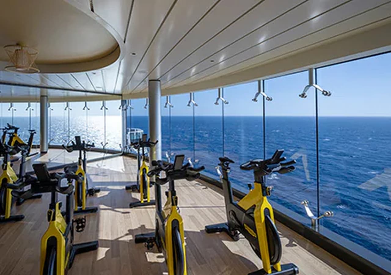msc23018337_gym