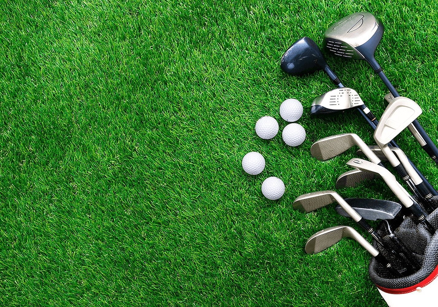 Golf Net_1000