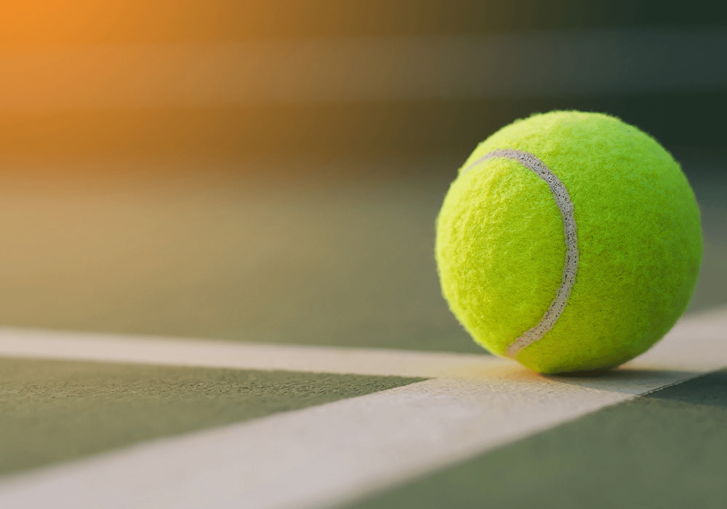 Paddle Tennis Court_1000