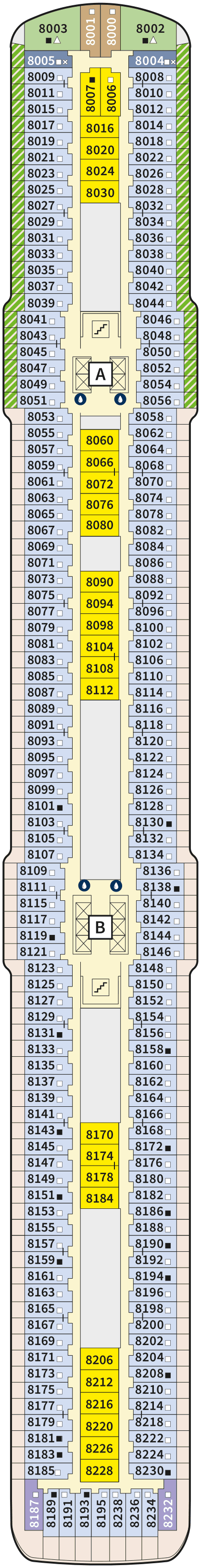 8 Muschel